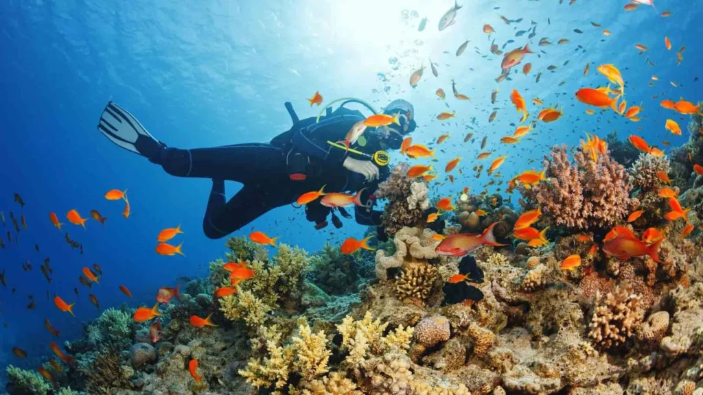 1–2 Snorkeling Spots