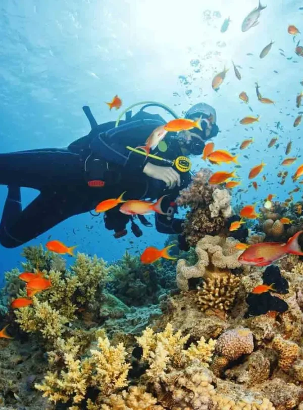 1–2 Snorkeling Spots