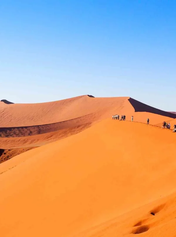 Multiple dune viewpoints