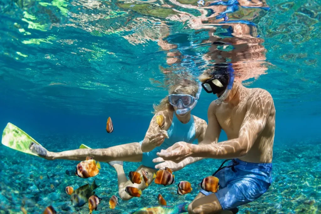 Snorkeling reefs